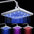 Luminous color changing shower head